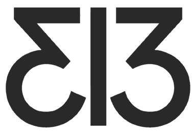 313eko